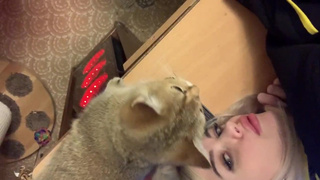 Молоденькой геймер шпилит в анал свою шикарную подругу