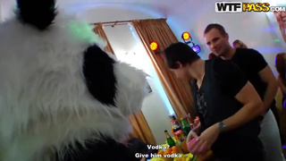 Пьяные телки на вечеринке шпилятся в групповушке с парнями