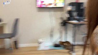 Соседка у меня с недотрахом — чуть выпила и сразу встаёт по собачьи